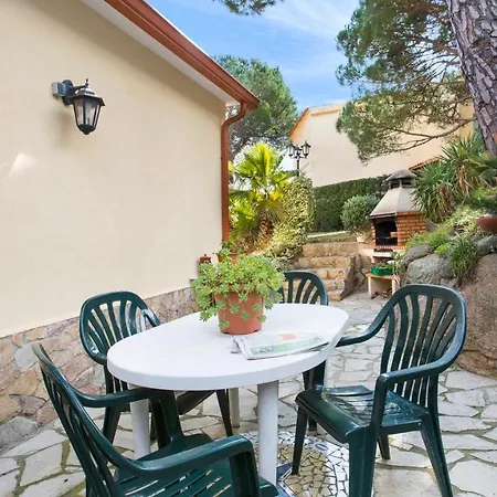 Crisantemo Villa